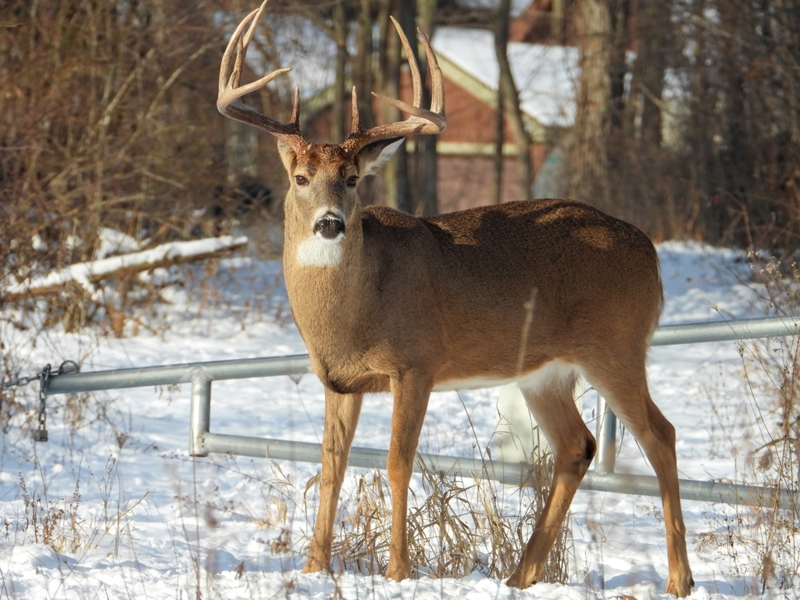 Shutterstock 2356279257