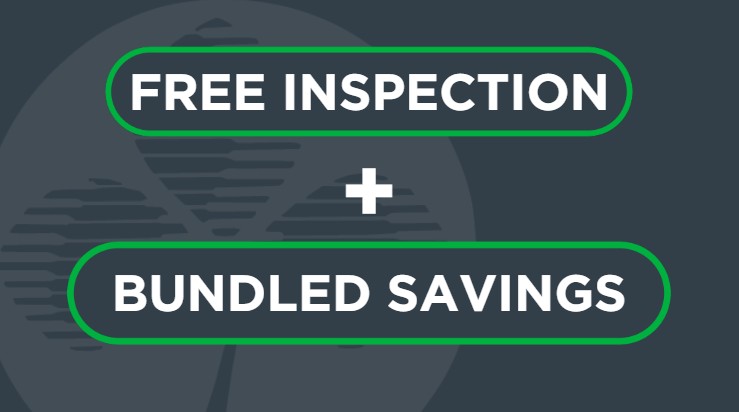 Screenshot 2026 03 23 130042