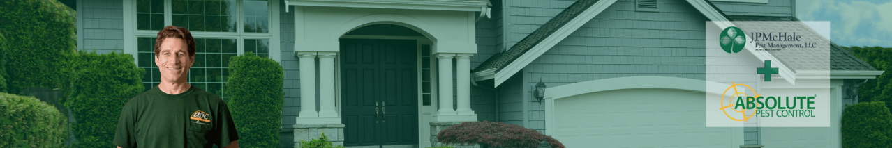 Jpmabsolute Website Banner (2)