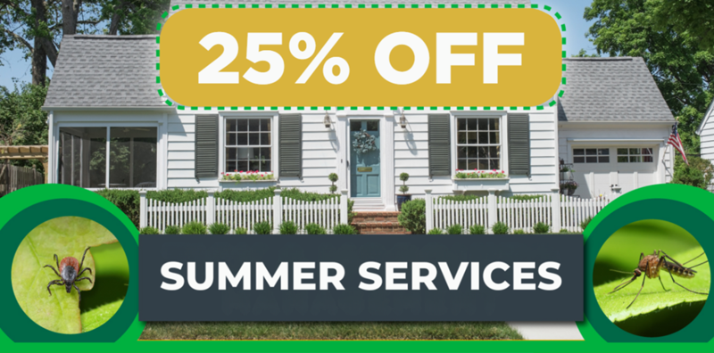 25% Summer Svcs Website Pop Up (2)