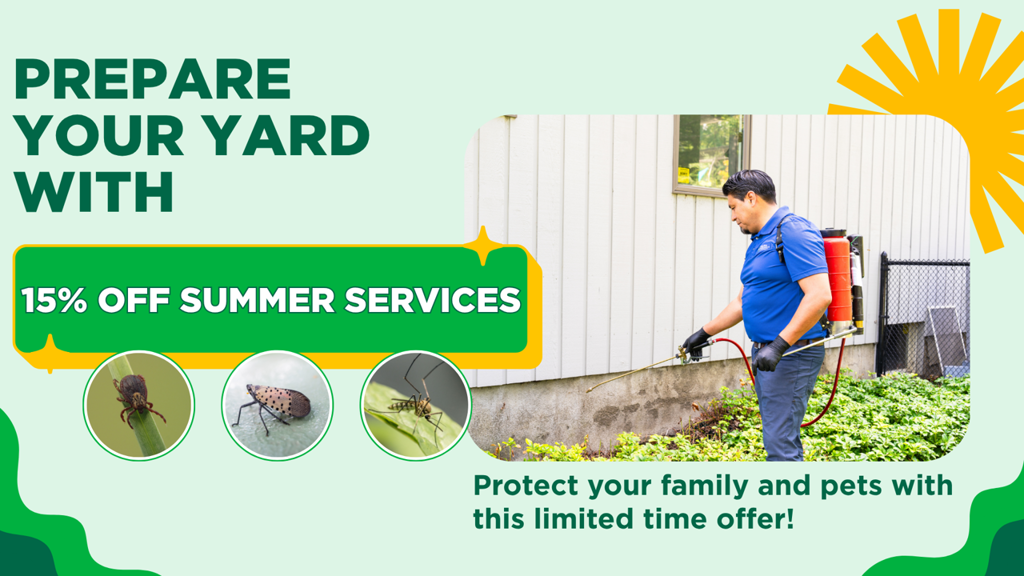 SUMMER SERVICES Website Pop Up (1)