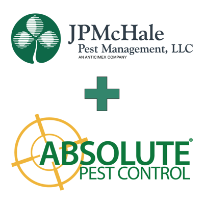 Jpm Abs Vert