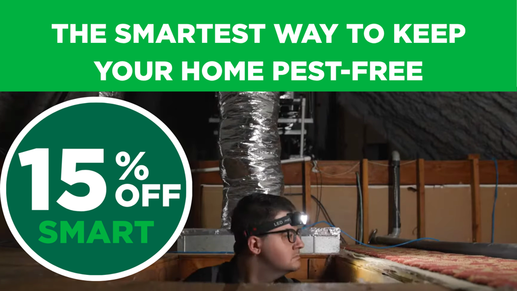 SMART 15% Website Promo