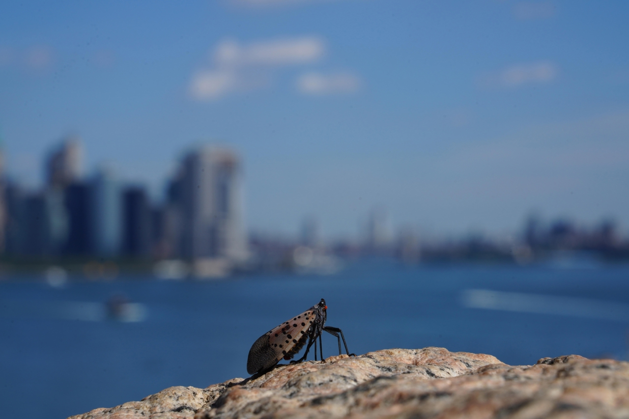 Shutterstock 2741432713