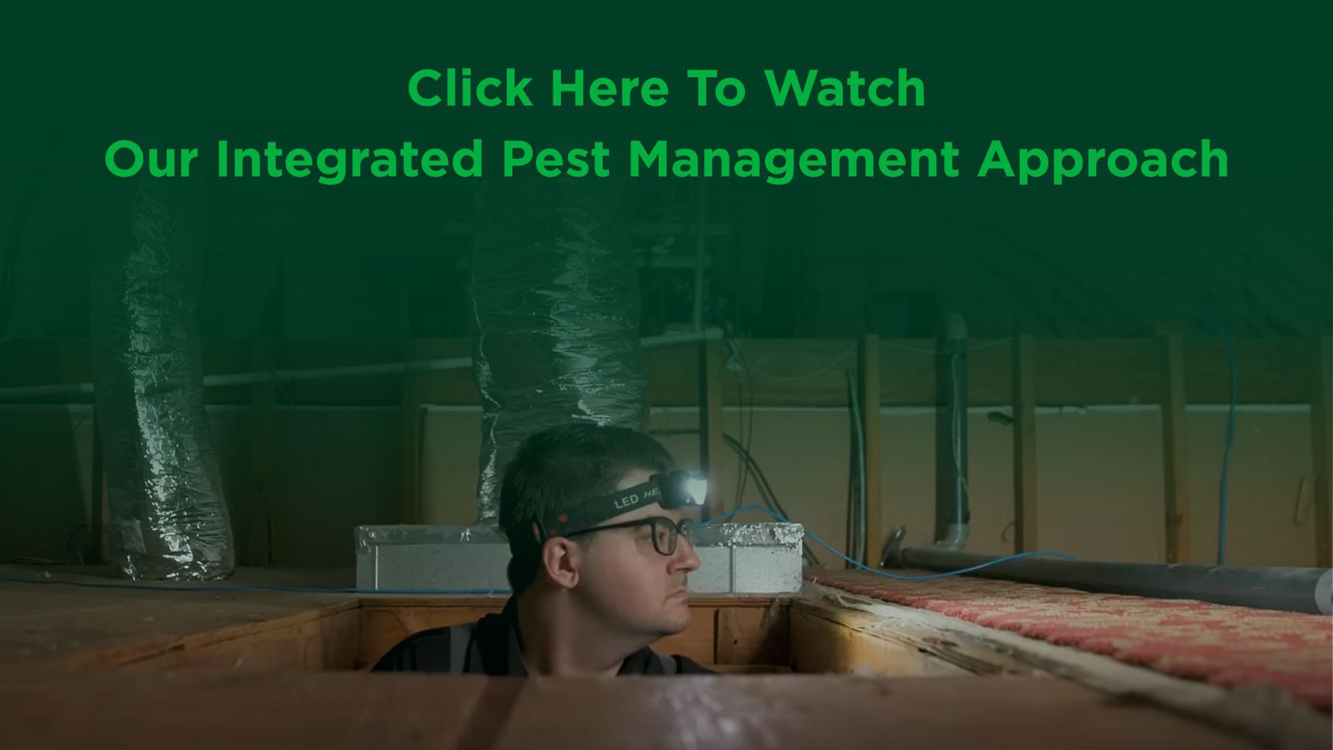 Click Here To Watch Our Integrated Pest Management Approach